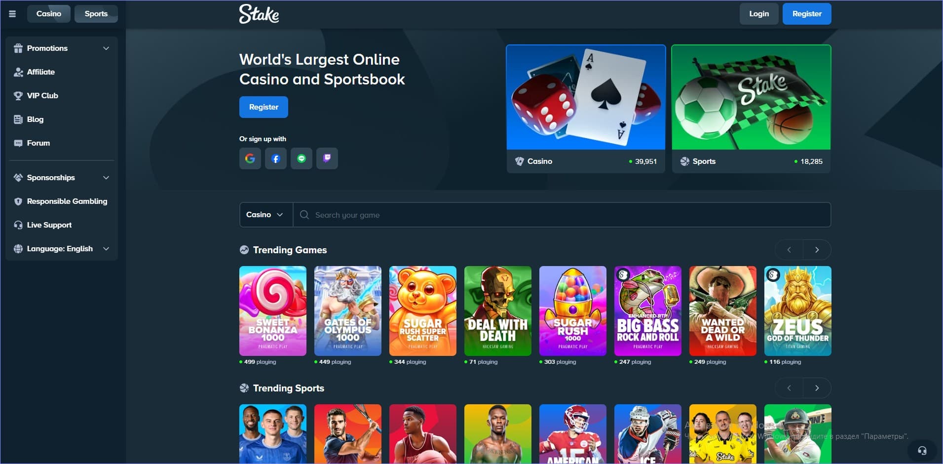 Stake Casino Interface